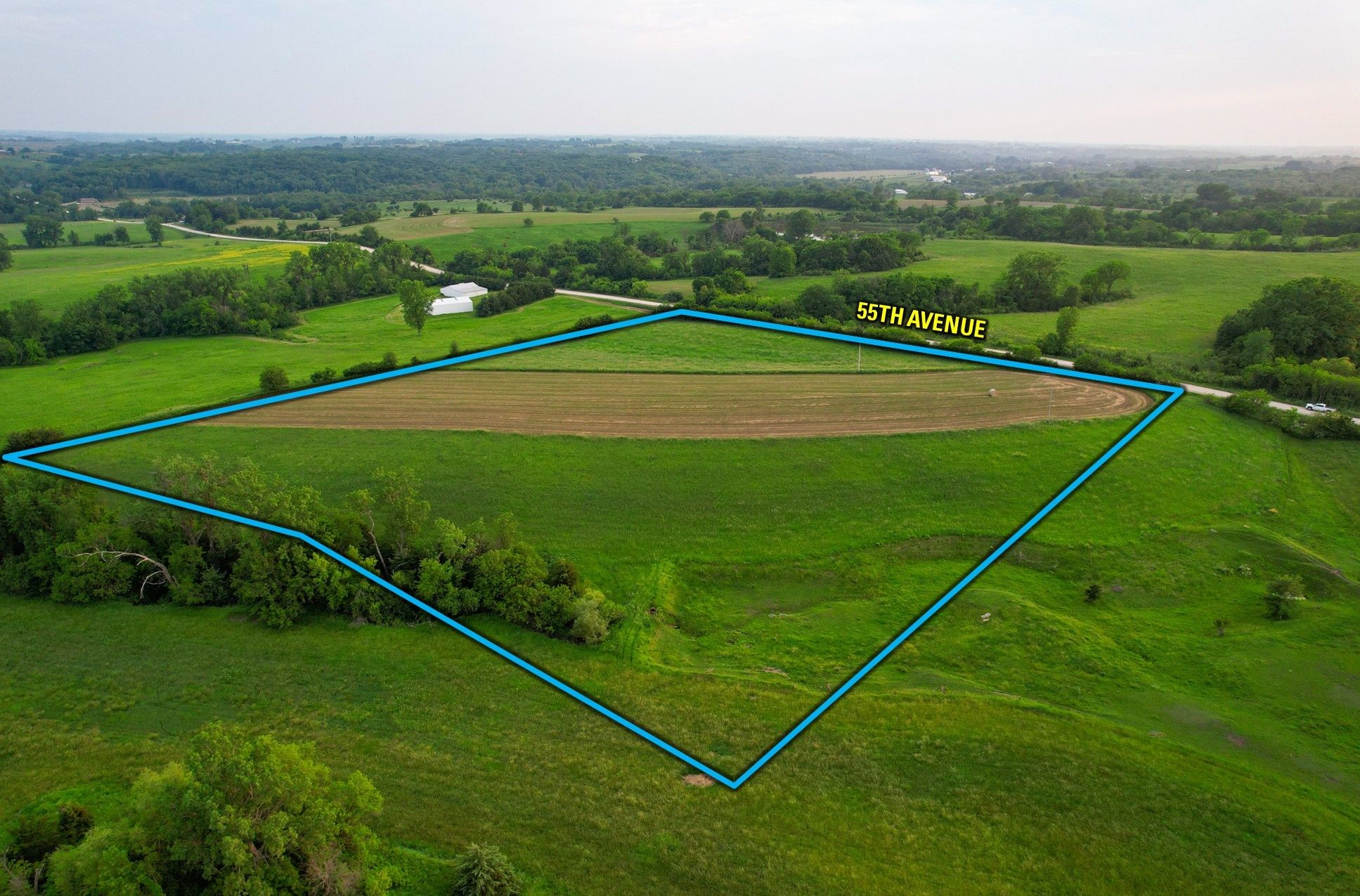 Listing Photo: 5 (1)